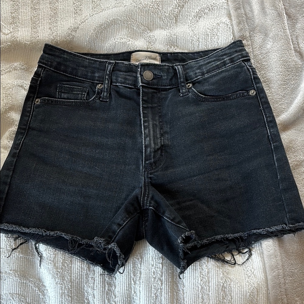Universal Thread Dark Denim Shorts